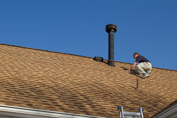 Best Roof Insulation Installation  in Pocomoke City, MD